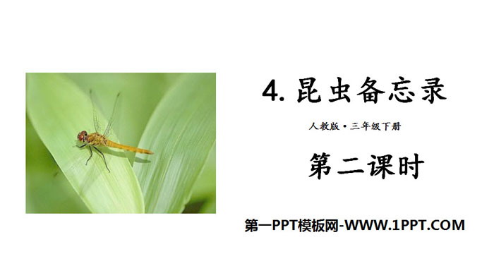 《昆虫备忘录》PPT(第二课时)
