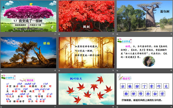 《我变成了一棵树》PPT教学课件