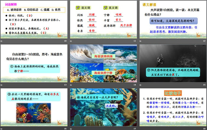 《海底世界》PPT精品课件