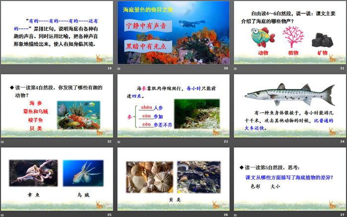 《海底世界》PPT精品课件