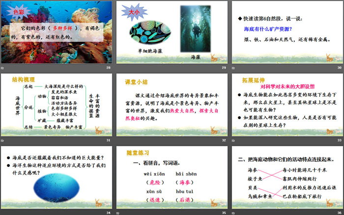《海底世界》PPT精品课件