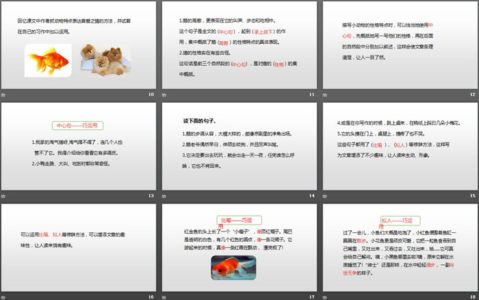 《我的动物朋友》习作PPT(第2课时)