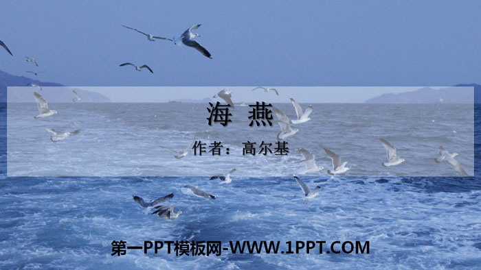《海燕》PPT精品课件