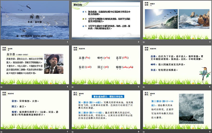 《海燕》PPT精品课件