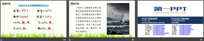 《海燕》PPT精品课件