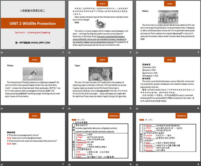 《Wildlife Protection》Section A PPT