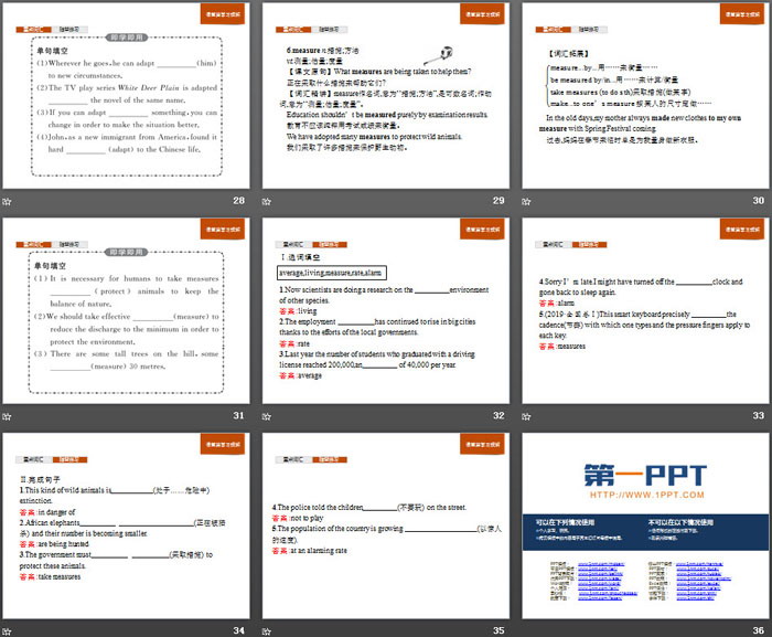 《Wildlife Protection》Section A PPT