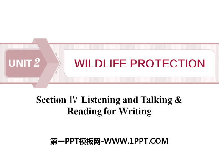 《Wildlife Protection》SectionⅣ PPT