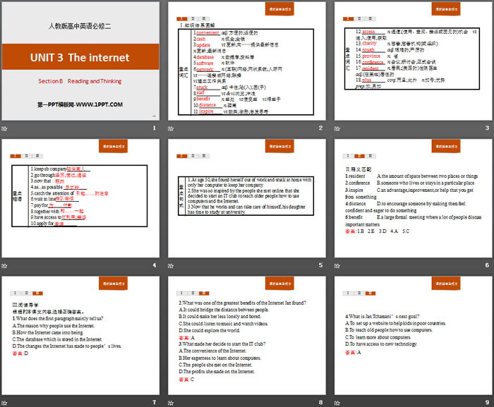 《The internet》Section B PPT