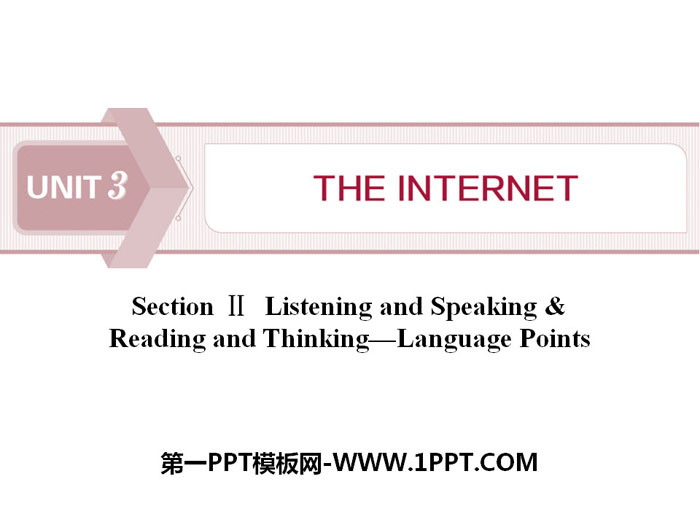 《The internet》SectionⅡ PPT