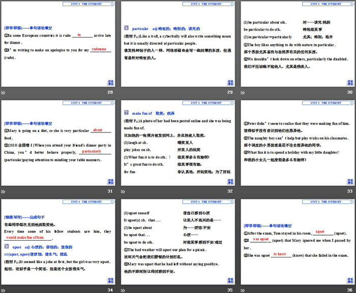 《The internet》SectionⅣ PPT