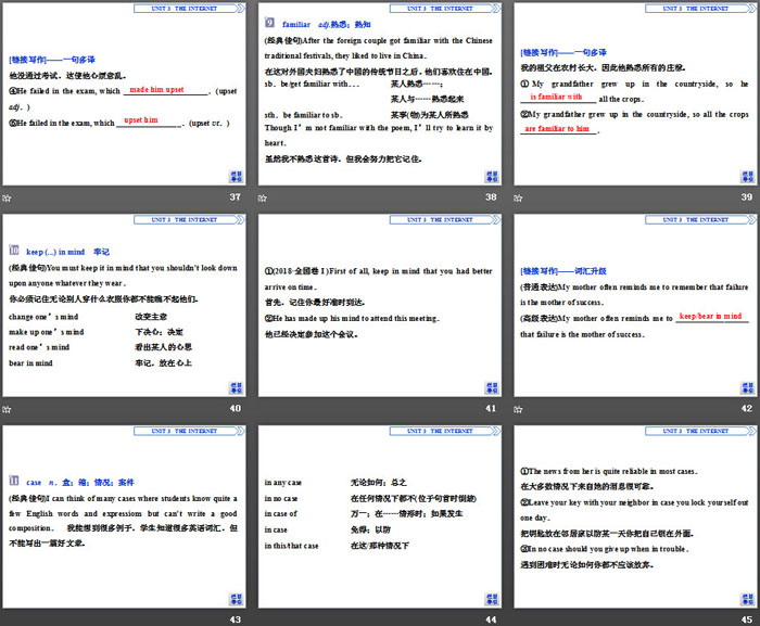 《The internet》SectionⅣ PPT