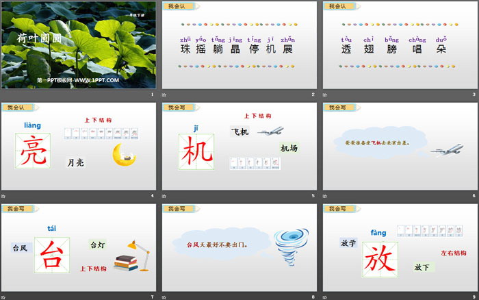 《荷叶圆圆》PPT教学课件