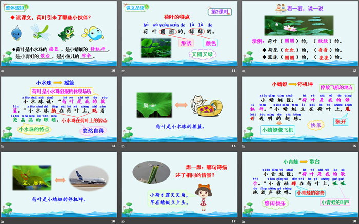 《荷叶圆圆》PPT课件下载