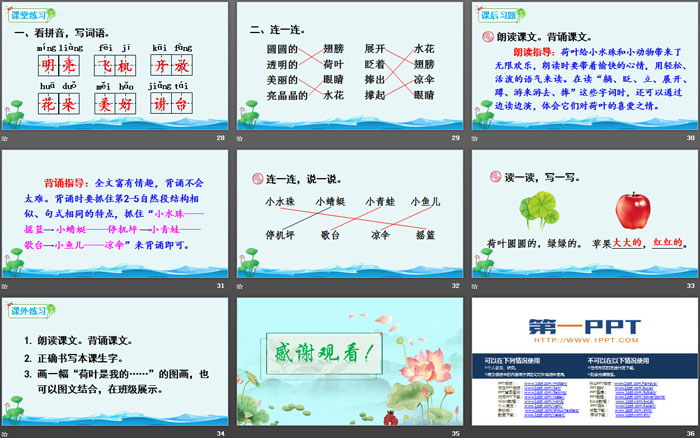 《荷叶圆圆》PPT课件下载