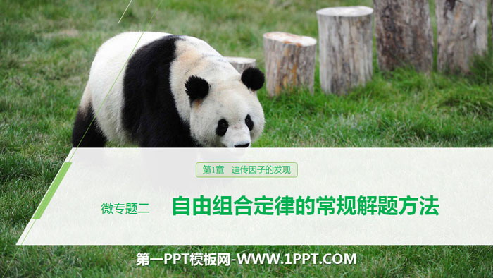 《微专题二　自由组合定律的常规解题方法》遗传因子的发现PPT