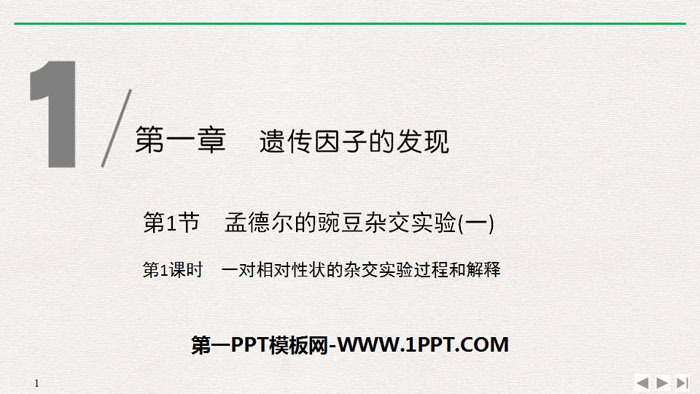 《孟德尔的豌豆杂交实验(一)》遗传因子的发现PPT课件(第1课时一对相对性状的杂交实验过程和解释)