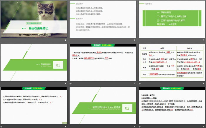 《基因在染色体上》基因和染色体的关系PPT