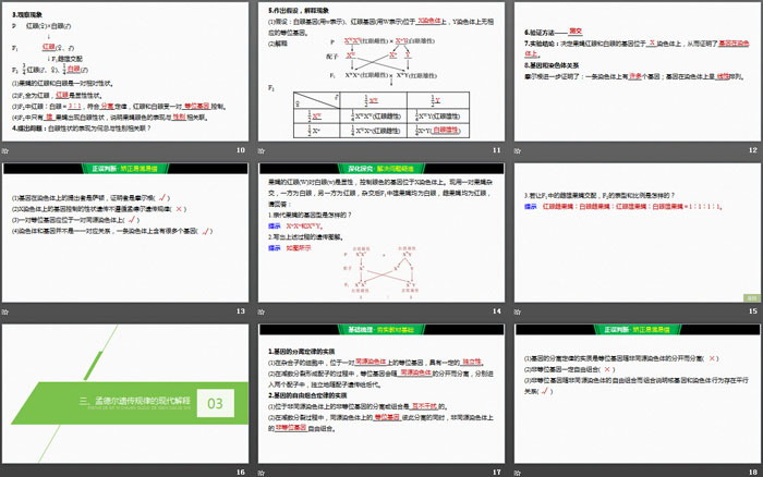 《基因在染色体上》基因和染色体的关系PPT