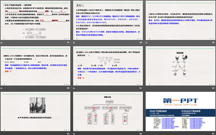 《伴性遗传》基因和染色体的关系PPT课件