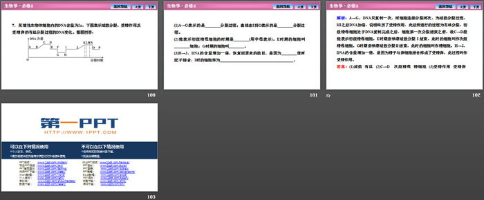 《减数分裂和受精作用》基因和染色体的关系PPT下载