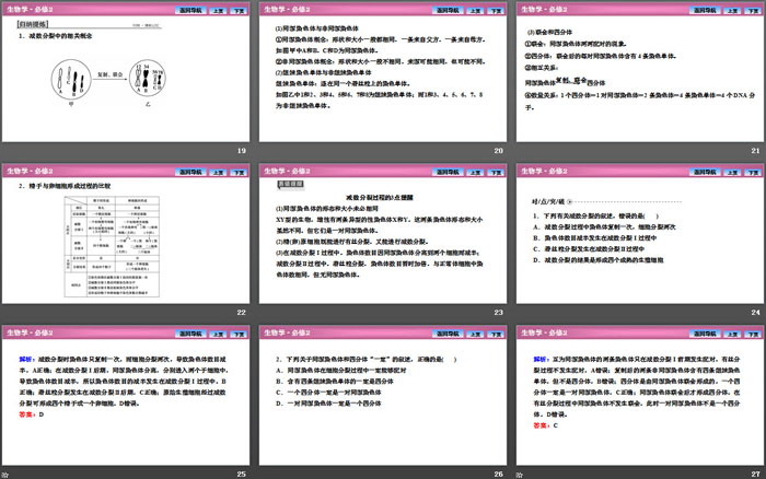 《减数分裂和受精作用》基因和染色体的关系PPT下载