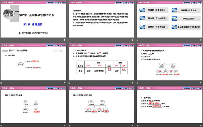 《伴性遗传》基因和染色体的关系PPT下载