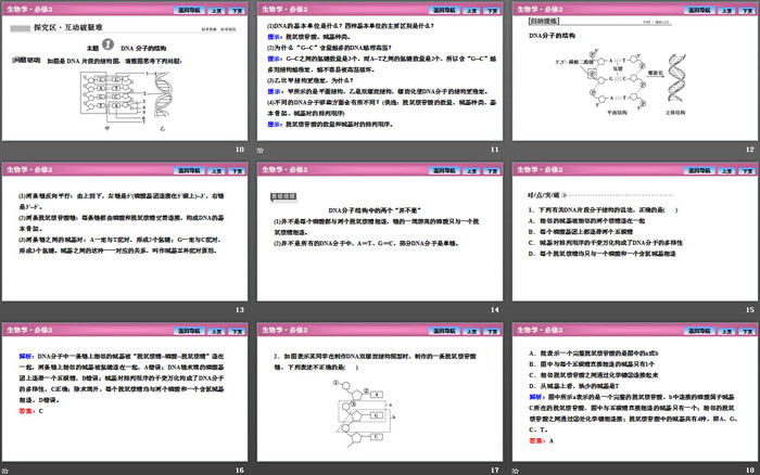 《DNA的结构》基因的本质PPT课件