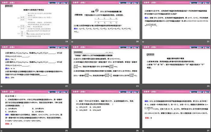 《DNA的结构》基因的本质PPT课件