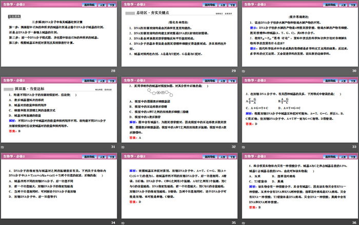 《DNA的结构》基因的本质PPT课件