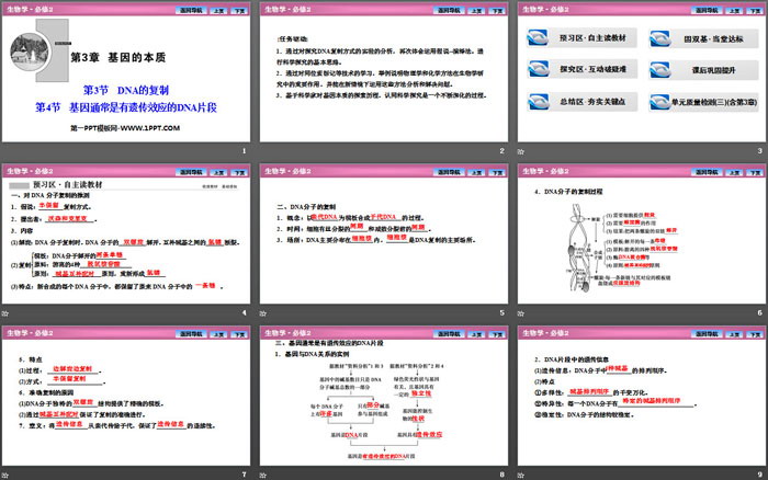 《DNA的复制》《基因通常是有遗传效应的DNA片段》基因的本质PPT课件