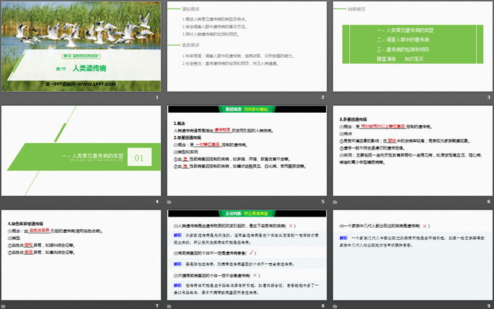 《人类遗传病》基因突变及其他变异PPT