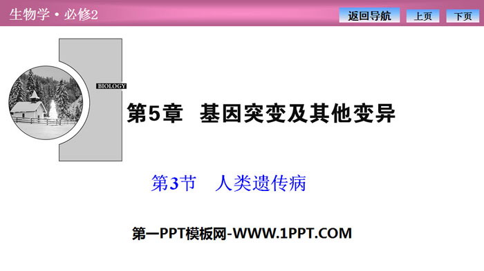 《人类遗传病》基因突变及其他变异PPT下载