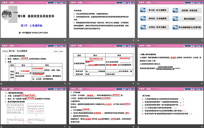 《人类遗传病》基因突变及其他变异PPT下载
