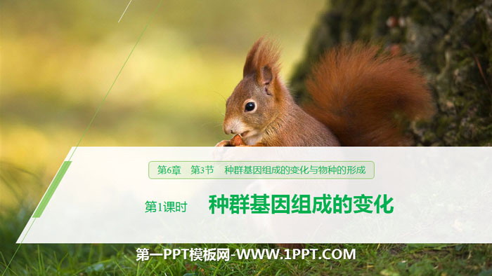《种群基因组成的变化与物种的形成》生物的进化PPT(第1课时种群基因组成的变化)