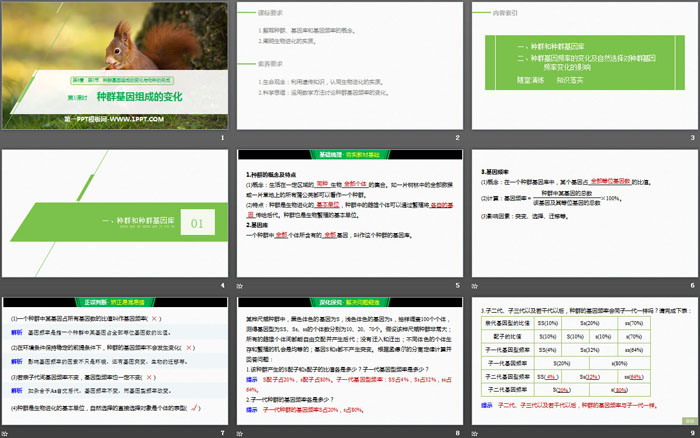 《种群基因组成的变化与物种的形成》生物的进化PPT(第1课时种群基因组成的变化)