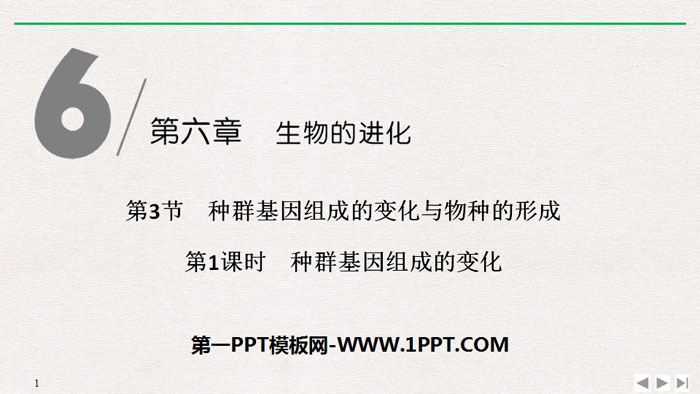 《种群基因组成的变化与物种的形成》生物的进化PPT课件(第1课时种群基因组成的变化)