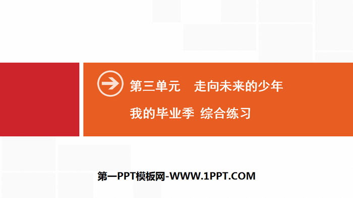 《我的毕业季》走向未来的少年PPT(综合练习)