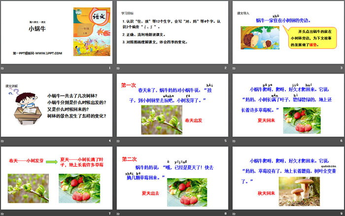 《小蜗牛》PPT精品课件