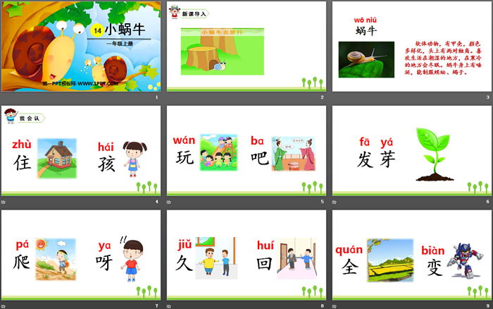 《小蜗牛》PPT优秀课件下载