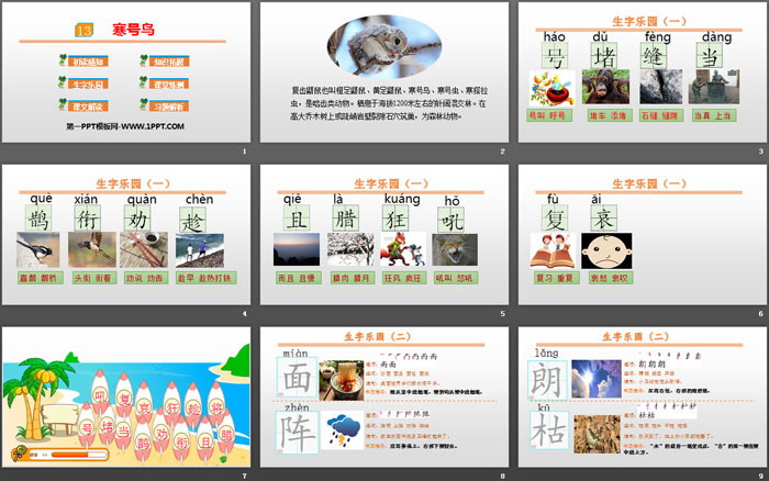《寒号鸟》PPT课件下载