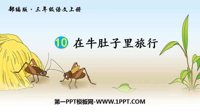 《在牛肚子里旅行》PPT优秀课件