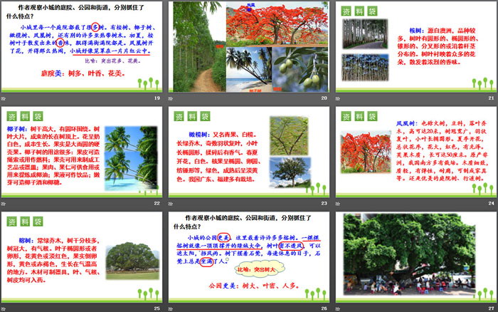 《海滨小城》PPT免费课件