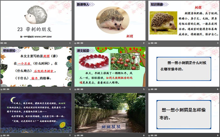《带刺的朋友》PPT下载