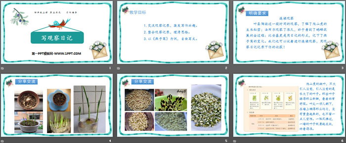 《写观察日记》PPT下载