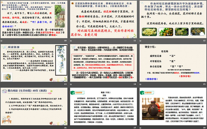 《桂花雨》PPT优秀课件
