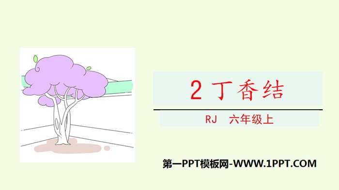 《丁香结》PPT免费下载