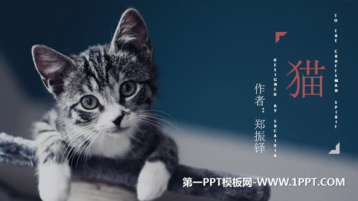 《猫》PPT优秀课件