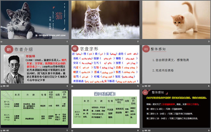《猫》PPT优秀课件