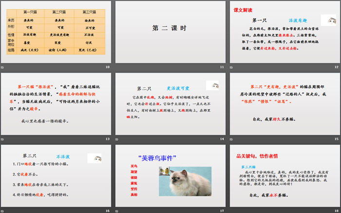 《猫》PPT优质课件